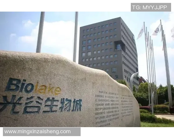 武汉篮球队的洲际杯征程与奋斗精神全景回顾